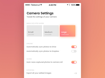 Daily UI - Settings (007) app camera camera settings dailyui panel settings ui ux