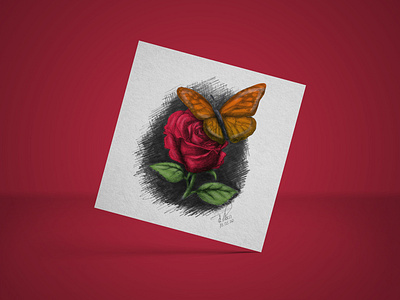 Butterfly + Rose Drawing design drawing illustration mothers day pencil drawing