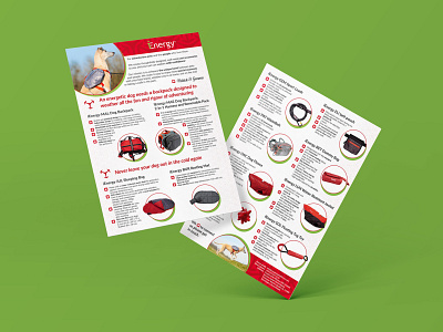 Pet Products Leaflet Design