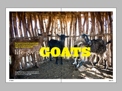 Horizons Layout - Life-Giving Goats article horizons layout magazine missions team