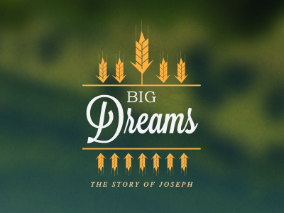 Big Dreams lost type co sermon series wheat