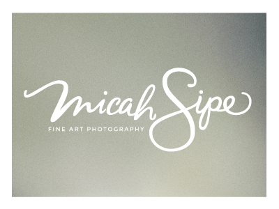 Fine art photography branding logo