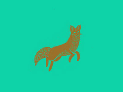 What the fox? illustration procreate