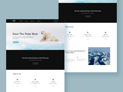 International Polar Bear Website (redesign) design environment home polarbear ui ux web webdesign