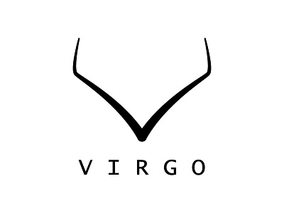 LOGO V or VIRGO