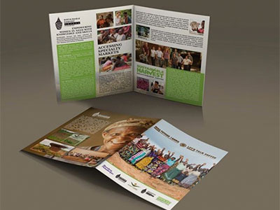 Brochure africa brand branding brochure design