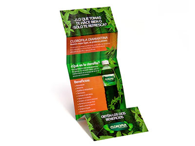 brochure brand branding brochure trifold