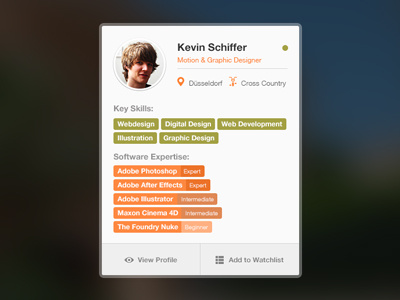 Profile Box avatar gemicons icons location profile round skills software vcard webdesign