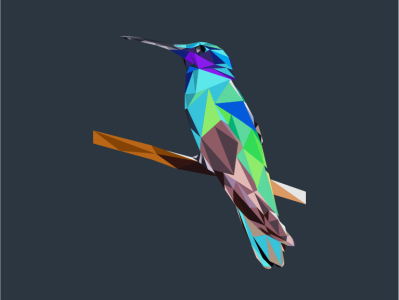 Poly the poly bird 🦜 art colors design illustration polygons vector