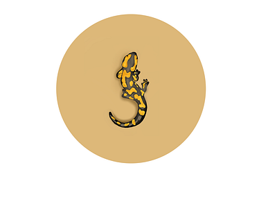 salamandra animation design graphic design illustration illustrator portrait
