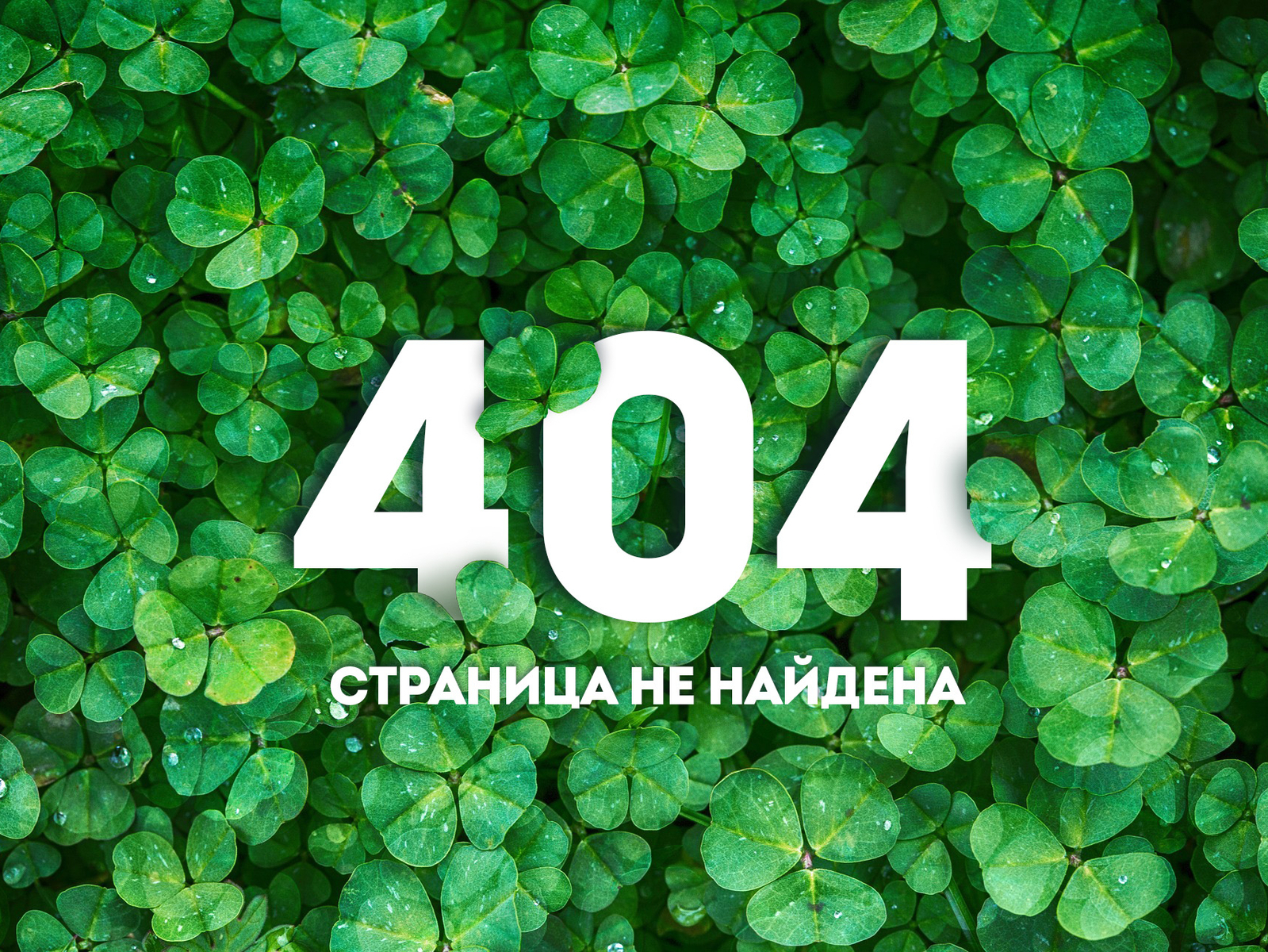 Картинки страница 404