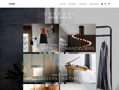 E-Commerce Store on Shopify branding graphic design shopify ui ux web design website design