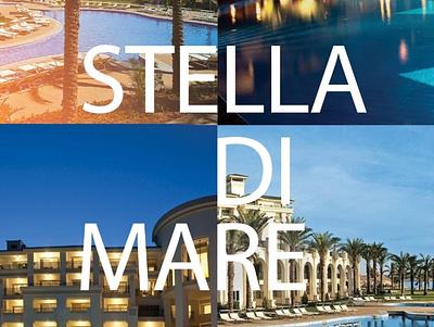 Stella Di Mare Flyer branding design logo