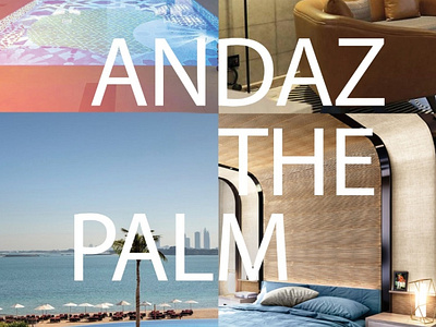 Andaz The Palm Flyer