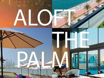 Aloft The Palm branding design logo