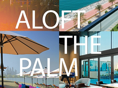 Aloft The Palm