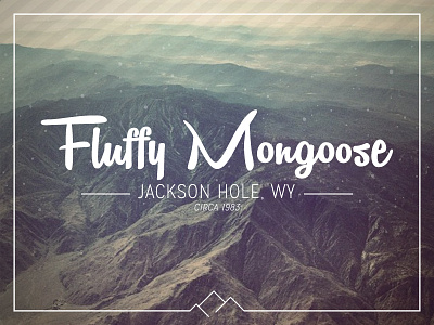 Fluffy Mongoose