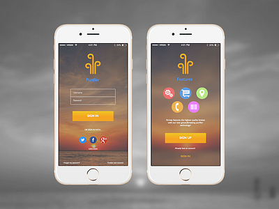 Sign In / Sign Up ios iphone modern purifier sign in sign up simple