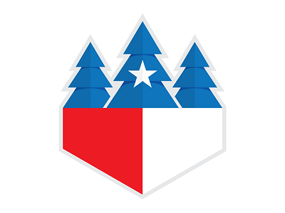 Lone Star Fundraising v.1 icon logo texas