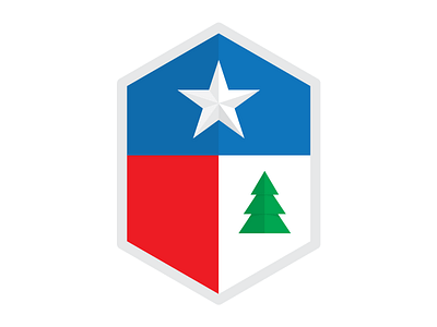 Lone Star Fundraising v.3 icon logo texas