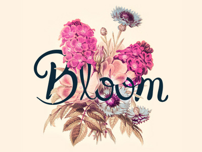 Bloom beauty bloom floral flowers hand drawn illustration lettering positivity script type typography vector