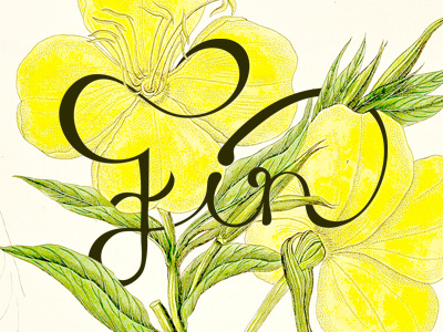 Fin finnick floral flowers hand drawn illustration lettering pretty primrose script the hunger games type typography