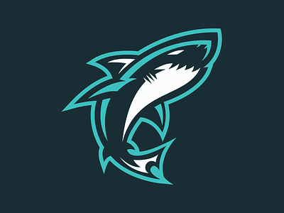 Shark branding fish illustration logo logotype mascot ocean shark