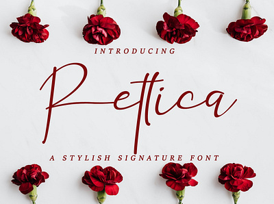 Rettica branding design font illustration logo script signature typography watermark wedding