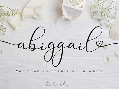 Abiggail branding design font illustration logo script typography ui vector watermark