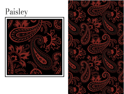 Paisley Pattern design graphic design illustration paisley pattern textile vector