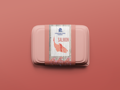 Salmon Treat graphic design illustration package design