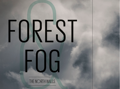 Forest & Fog