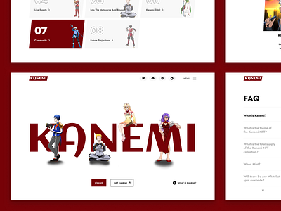 Kanemi website design