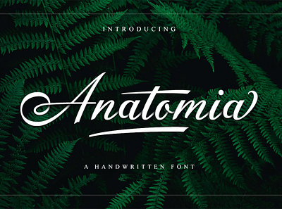 Anatomia Handwritten Font beautiful font branding calligraphy design elegant handwritten illustration invitation lettering logo luxury script signature font typography wedding fonts