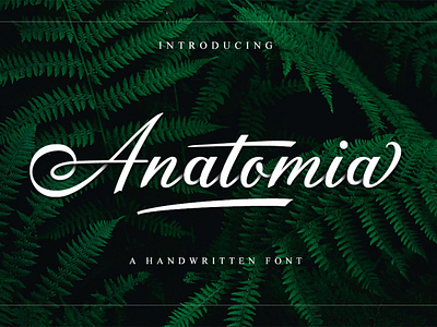 Anatomia Handwritten Font