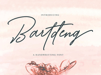 Bartdeng Handwritting Font branding calligraphy handwritten logo script typography