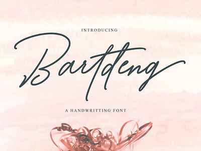 Bartdeng Handwritting Font