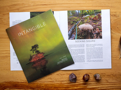 INTANGIBLE MAGAZINE Fall2020 design editorial graphic design magazine
