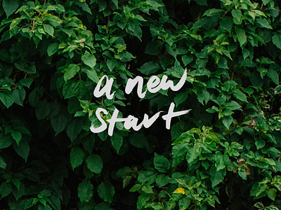 A new start 2016 brush pen lettering new year type typography