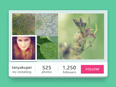 My Instawidget Try instagram photo profile widget