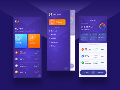 Dashboard wallet