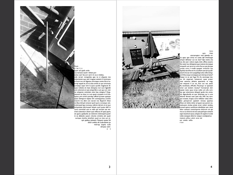 Beeline Bent Magazine (2/4) by Molly on Dribbble