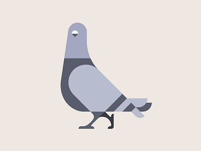 Pigeon bird birds character design flat icon illustration minimalist pigeon simple vector