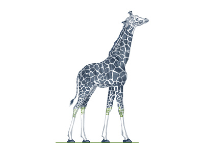 Baby Giraffe 2d 3d africa animal baby design giraffe illustration render wild