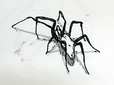 Spider Sketch ink marker paper sketch spider