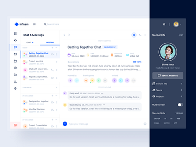 Meeting & Chat: InTeam_Team Management Dashboard