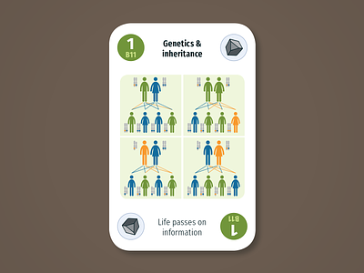 Diversity Deck – Biosphere: Genetics and inheritance biosphere card children design dna earth game genes genetics illustration infographic maintenant parents play product science sustainability system