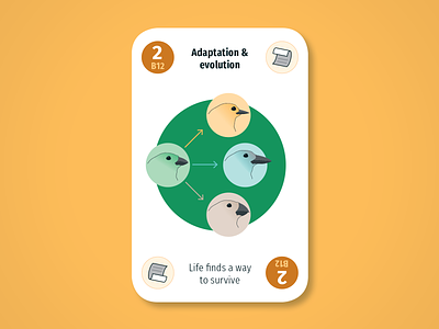 Diversity Deck – Biosphere: Adaptation and evolution adaptation beaks biosphere birds card design earth evolution finches game illustration infographic maintenant play product science sustainability system