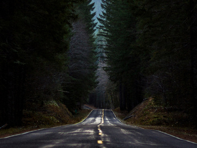Banner Image - Forest Road