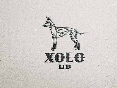 LOGO DESIGN FOR XOLO STD animal animals branding dog dog logo geometric graphic design logo logo design minimal minimalist pet logo simple